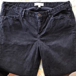 Women’s 32x32 Madewell Pants